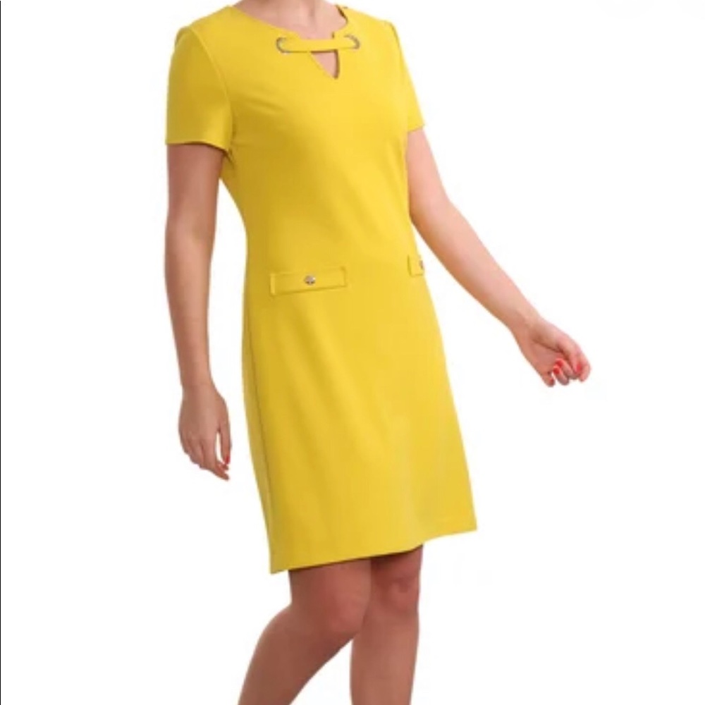 BNWT FRANK LYMAN SHIFT DRESS